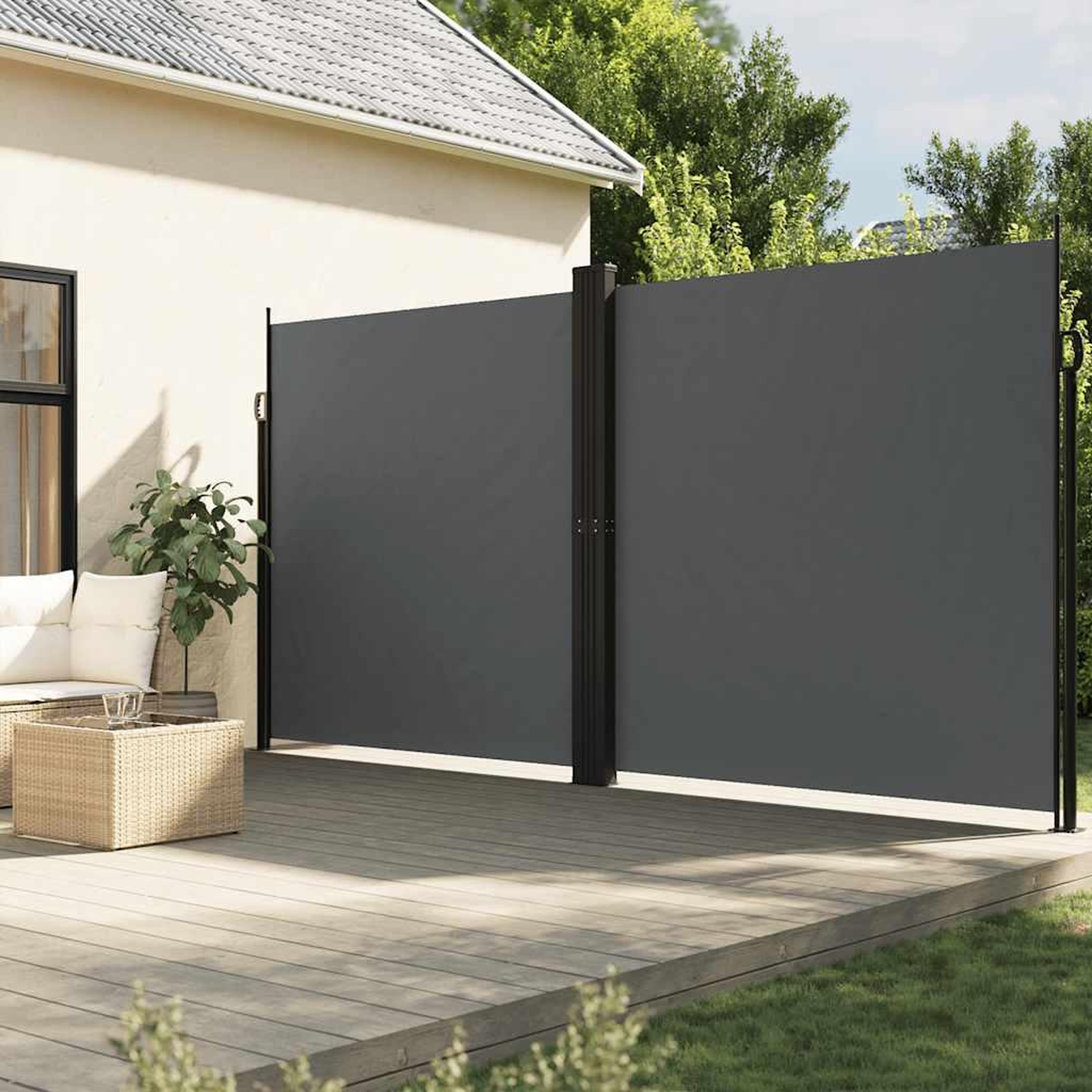 VIDAXL Auvent lateral retractable anthracite 220x1000 cm