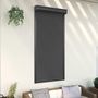 Voir la diapositive 1 : VIDAXL Volet roulant aluminium 100x210 cm anthracite