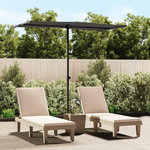 VIDAXL Parasol de jardin avec mat en aluminium 180x110 cm anthracite
