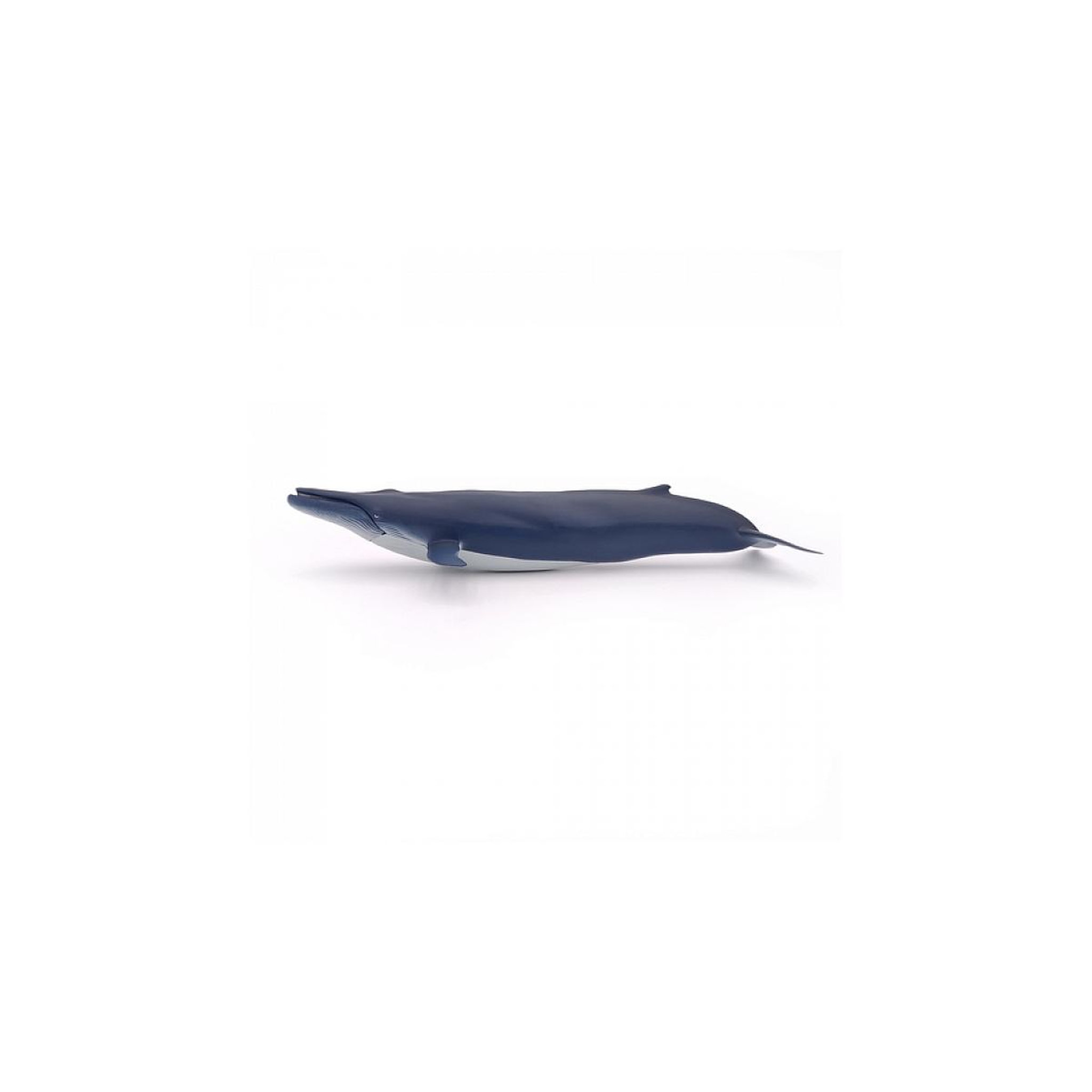 Voir la diapositive 2 : Papo 56037 Baleine bleue figurine