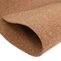 Voir la diapositive 5 : VIDAXL Rouleau de liege 100x200 cm 5 mm
