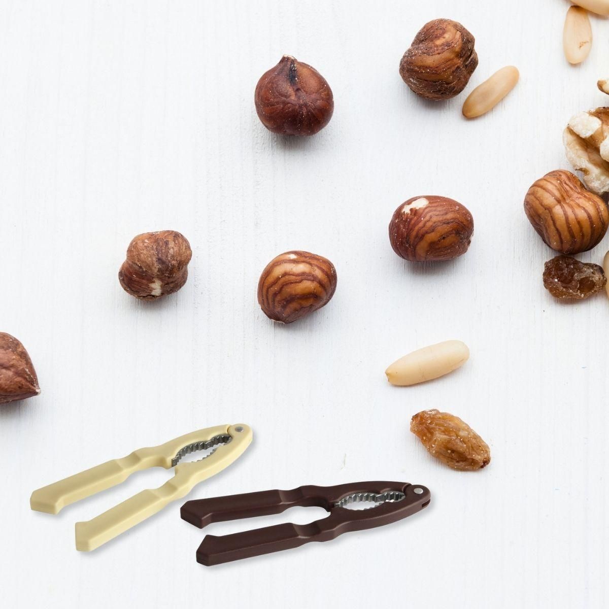 Fackelmann Ensemble de 2 Casse-noix et crustacés Fackelmann Basic