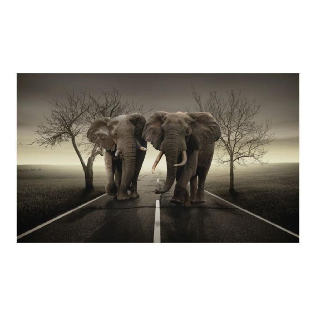 Paris Prix Papier Peint  City of Elephants  270x450cm