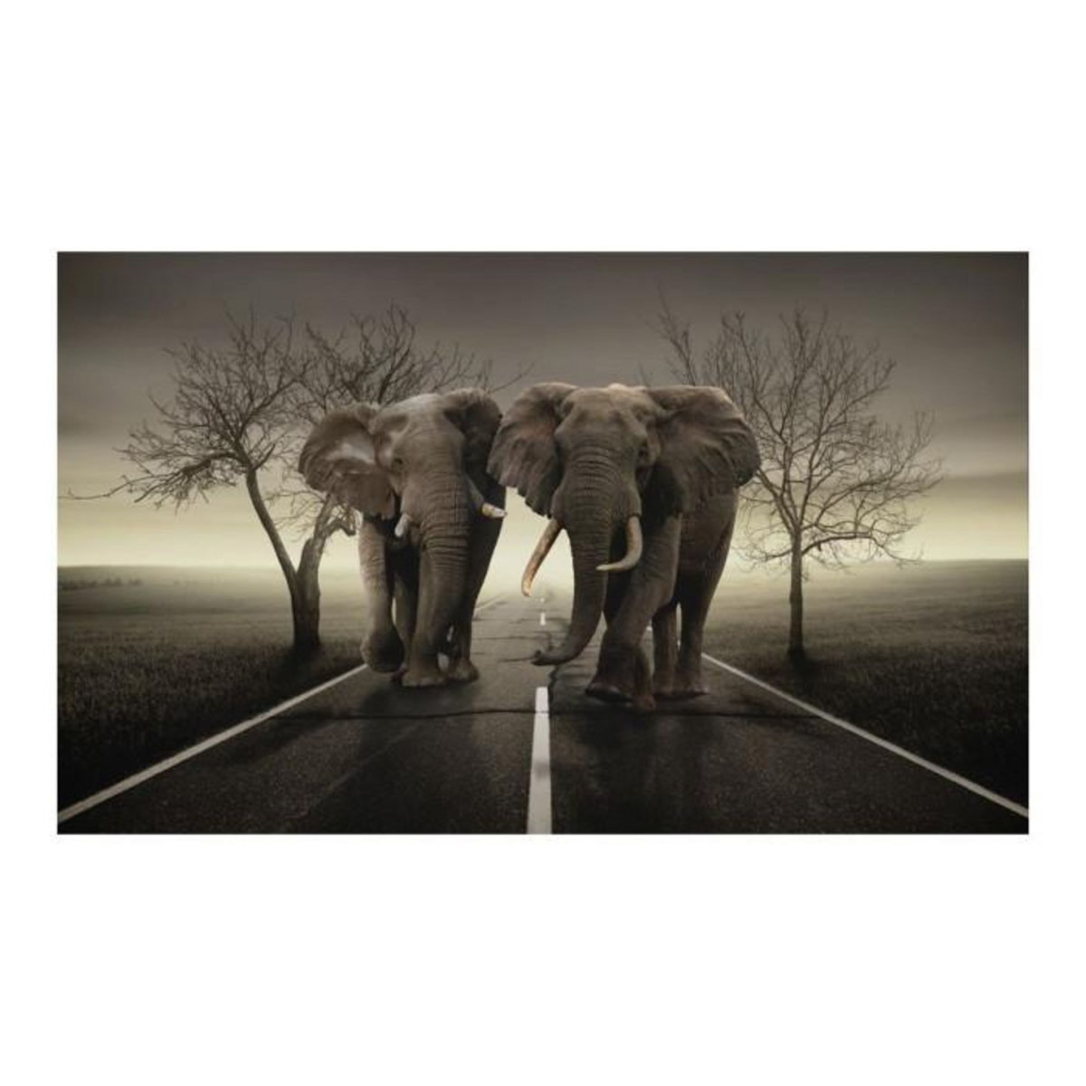 Paris Prix Papier Peint  City of Elephants  270x450cm