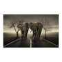 Voir la diapositive 2 : Paris Prix Papier Peint  City of Elephants  270x450cm
