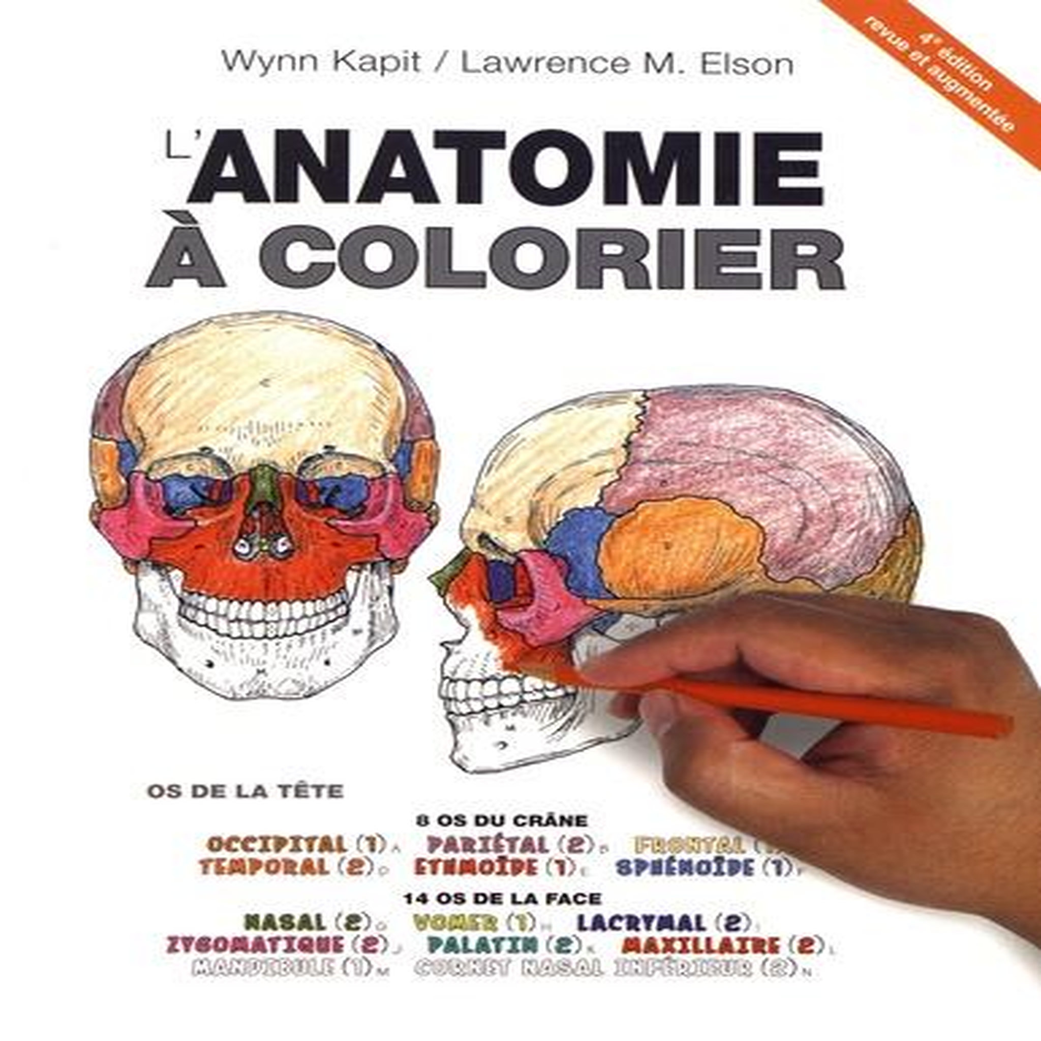 L'ANATOMIE A COLORIER. 4E EDITION REVUE ET AUGMENTEE, Kapit Wynn