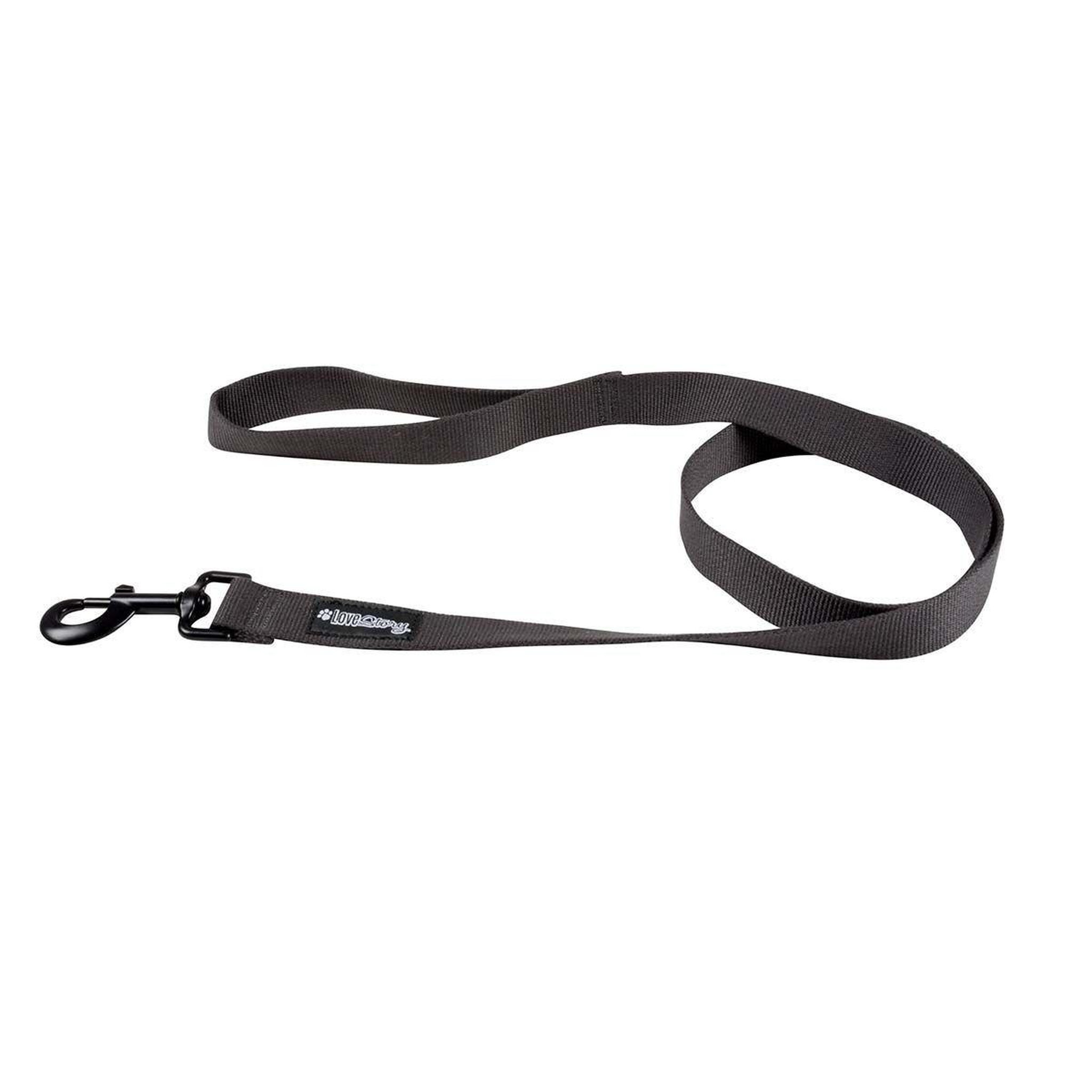 Voir la diapositive 1 : HOMEA Laisse pour Chien  Bambou  120cm Anthracite