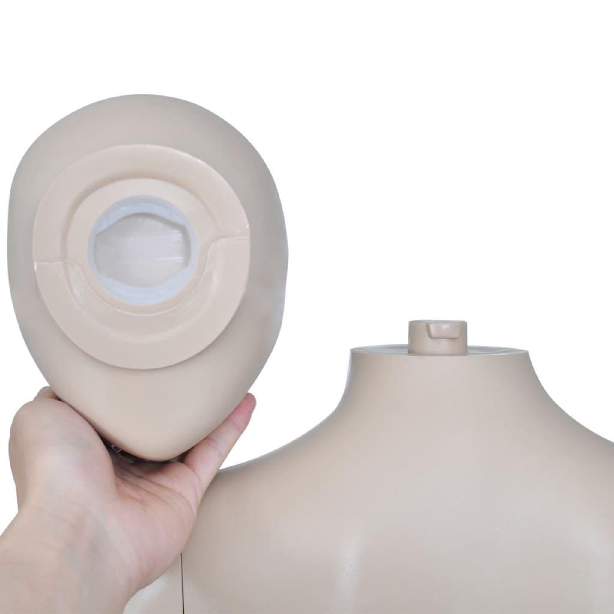 Voir la diapositive 4 : VIDAXL Mannequin de vitrine Femme Tete ronde