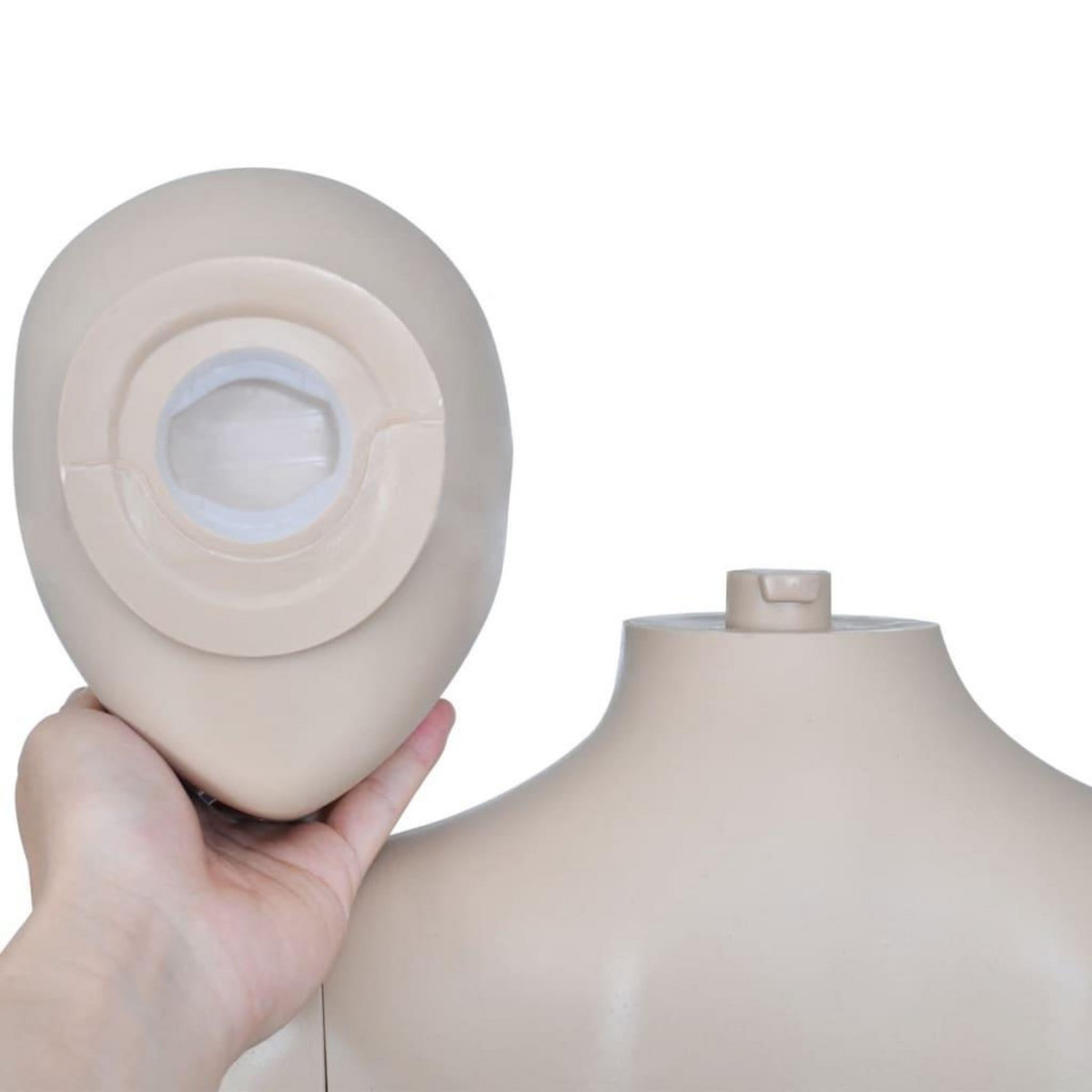 VIDAXL Mannequin de vitrine Femme Tete ronde