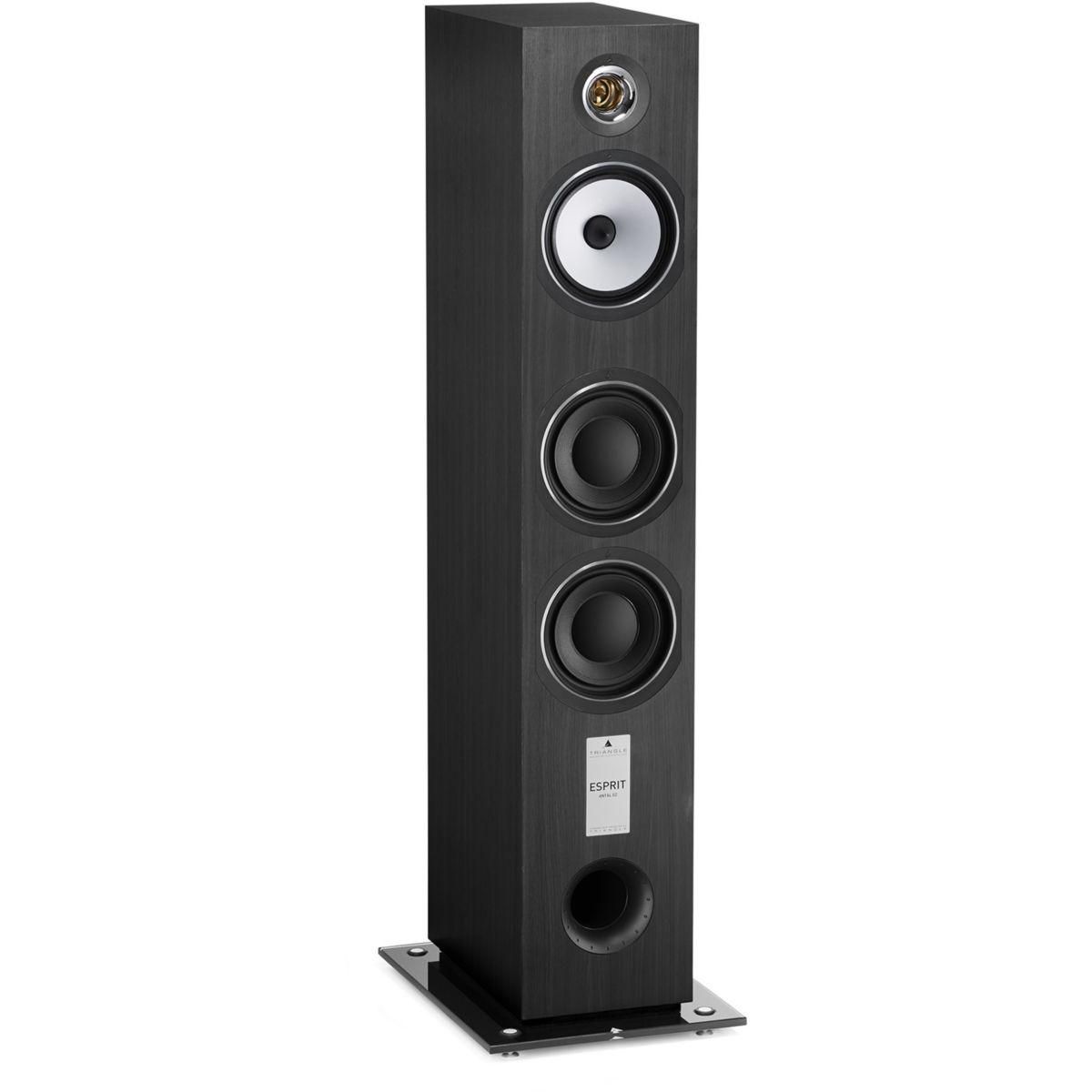 Triangle Enceinte colonne Antal esprit EZ bois noir