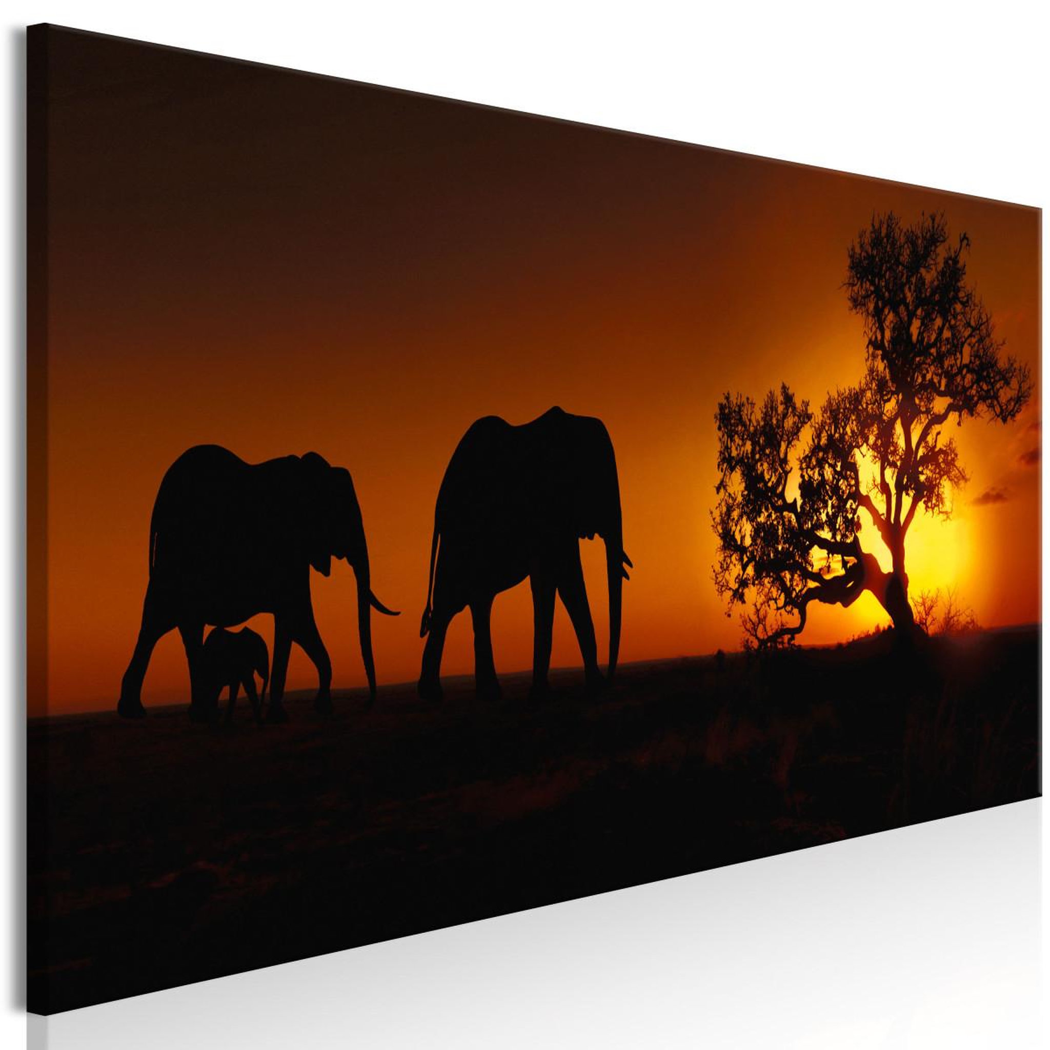 Multicolore