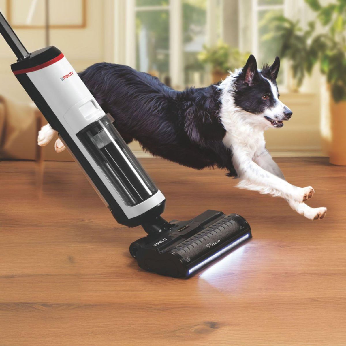 POLTI Aspirateur laveur RollySteam WD30C sans fil avec fonction vapeur