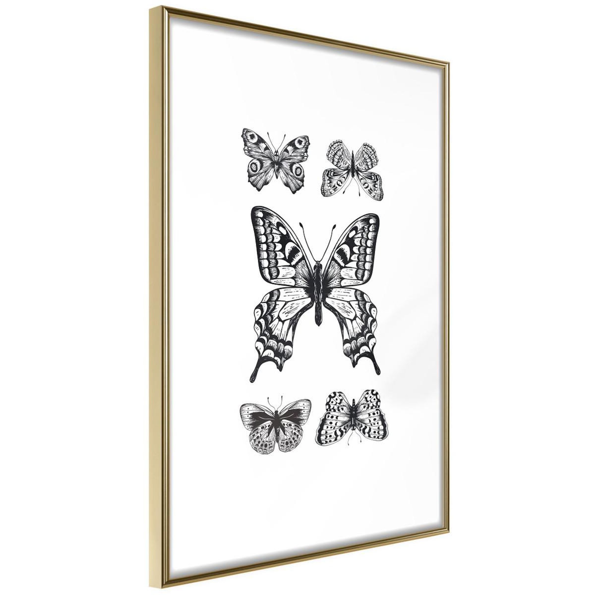Paris Prix Affiche Murale Encadrée  Butterfly Collection IV