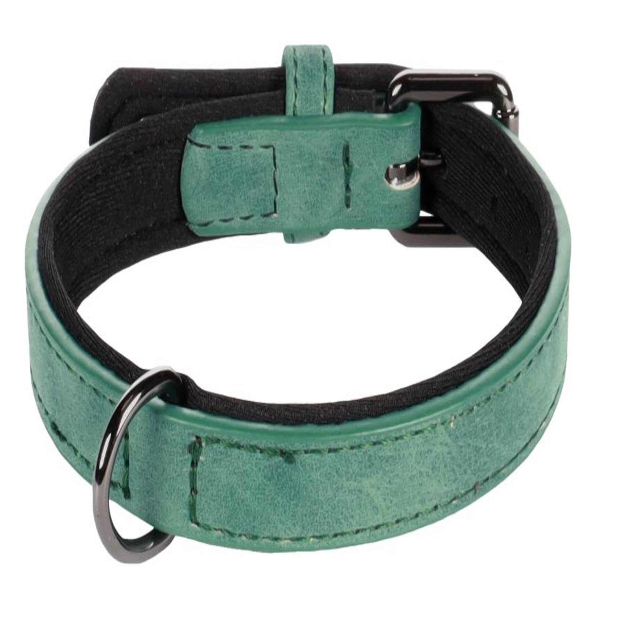 Eden Collier pour chien avec doublure néoprène. Coloris disponibles : Marron, Rouge, Noir, Bleu, Vert