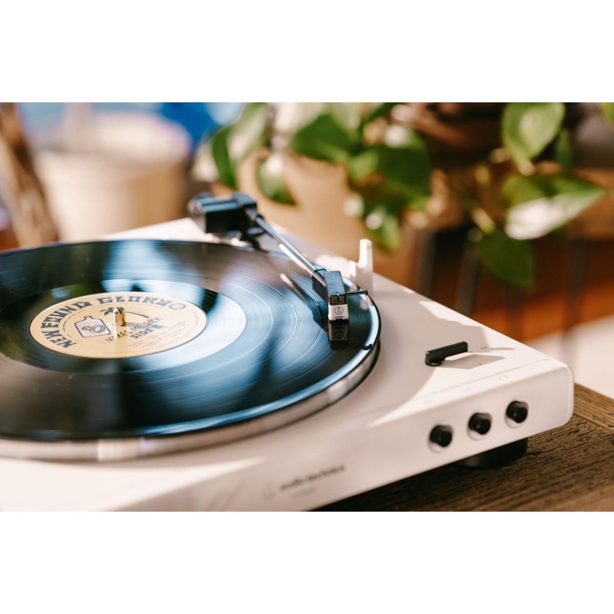 Audio-technica Diamant ATN3600LC