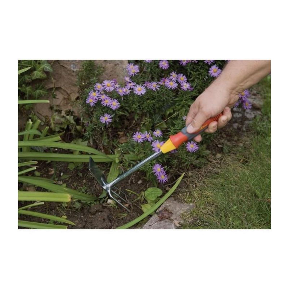 Outils Wolf OUTILS WOLF Petite serfouette 1 panne + 3 dents LNK