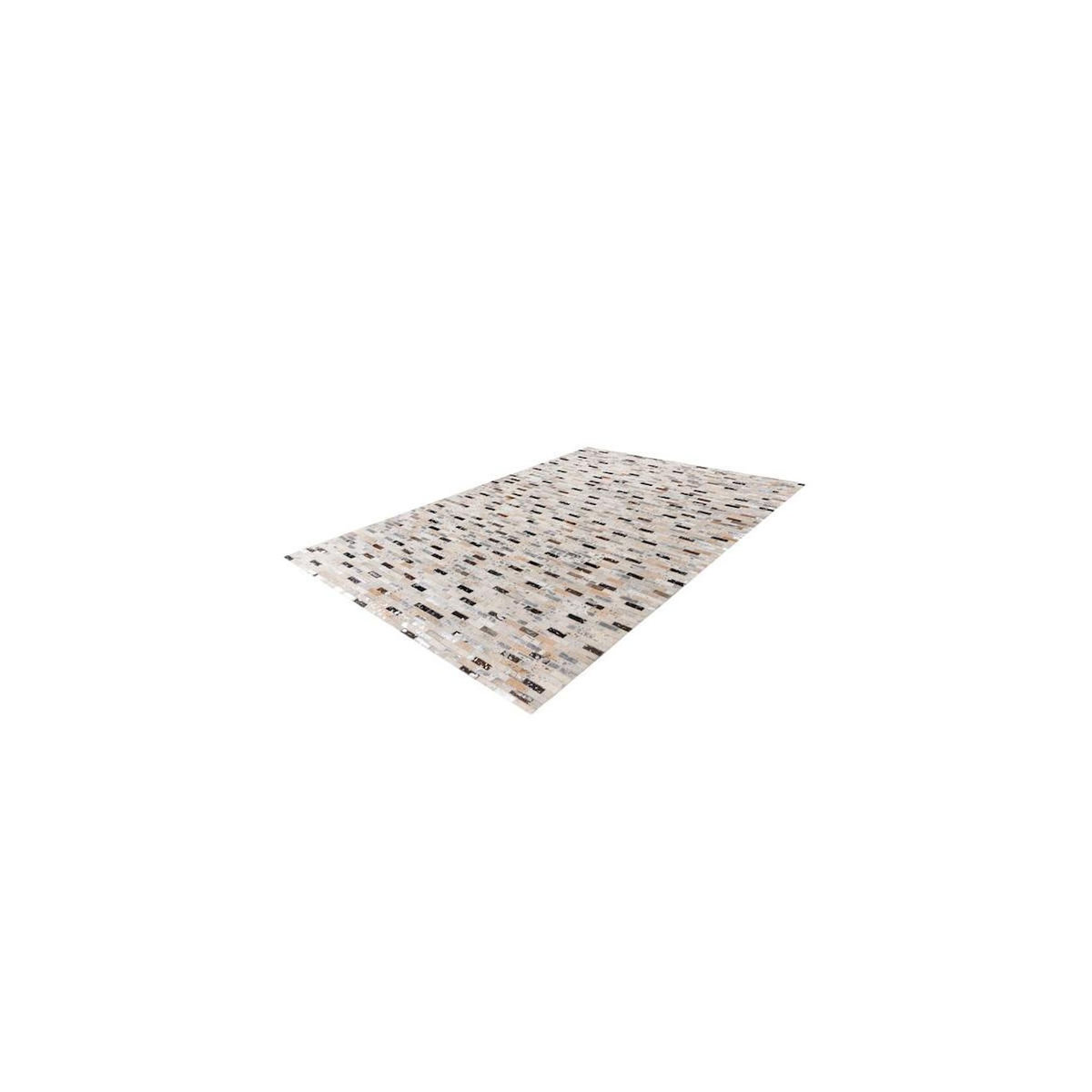 Paris Prix Tapis Fait Main en Cuir  Lavin VII  Noir & Multicolore