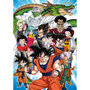Voir la diapositive 1 : EDUCA Puzzle 1000 pièces : Dragon Ball