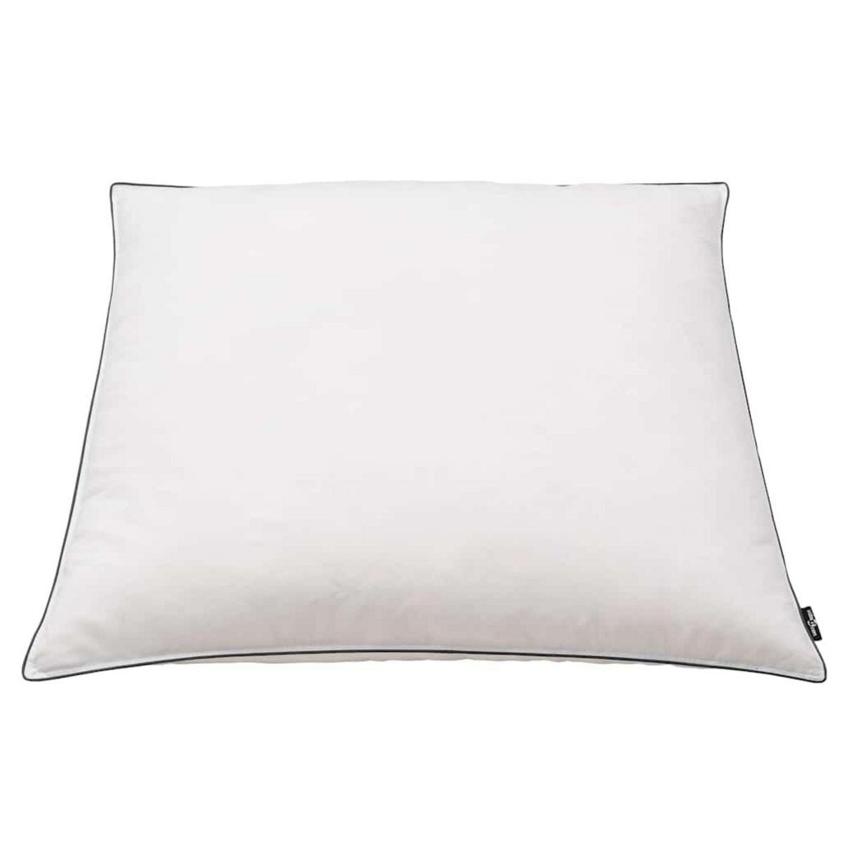 VIDAXL Oreiller lot de 2 Remplissage de duvet 80 x 80 cm Blanc