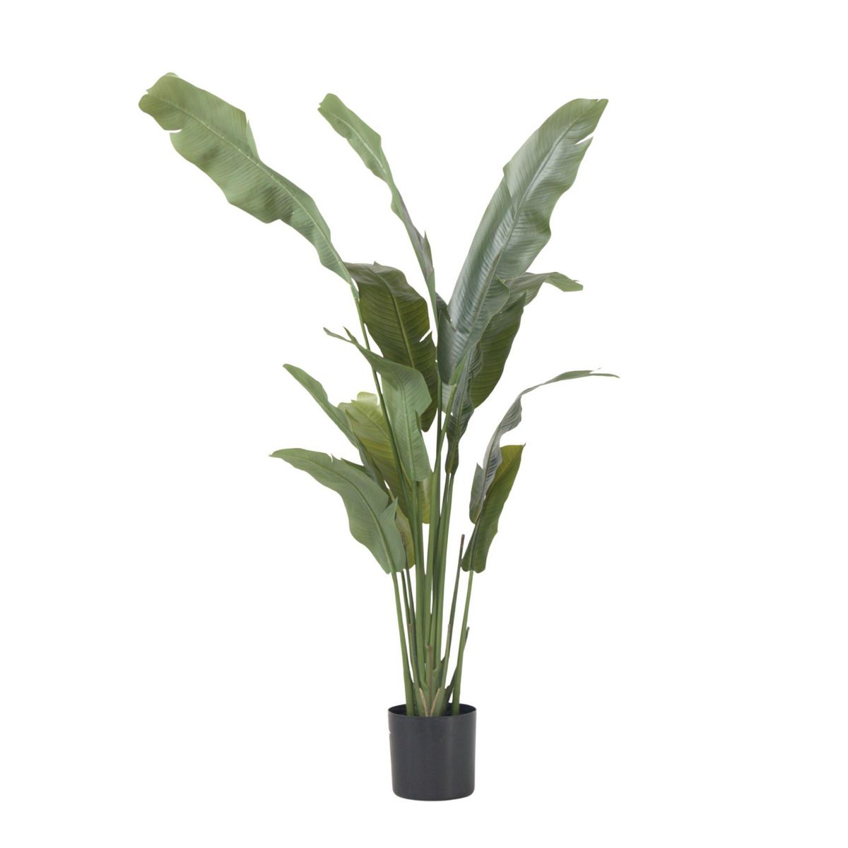 PLANT IN A BOX Strelitzia artificiel - Hauteur 160cm