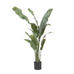 PLANT IN A BOX Strelitzia artificiel - Hauteur 160cm