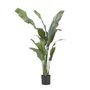 Voir la diapositive 1 : PLANT IN A BOX Strelitzia artificiel - Hauteur 160cm