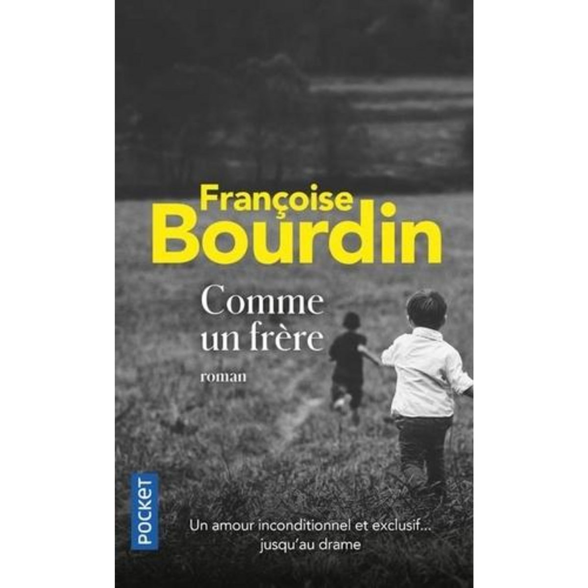 COMME UN FRERE, Bourdin Françoise