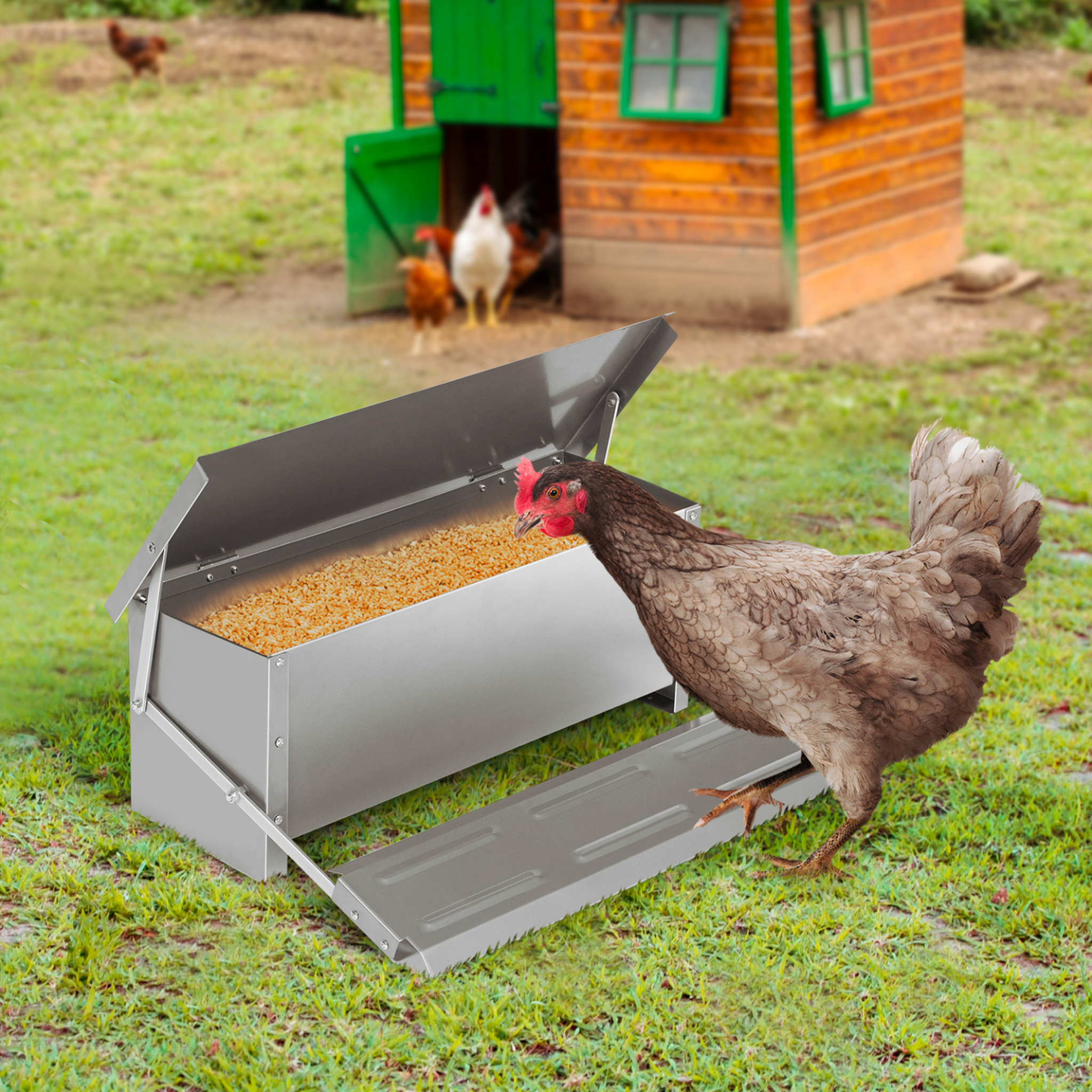 Voir la diapositive 2 : ID MARKET Mangeoire xxl pour poules distributeur automatique à pédale en acier 10 kg