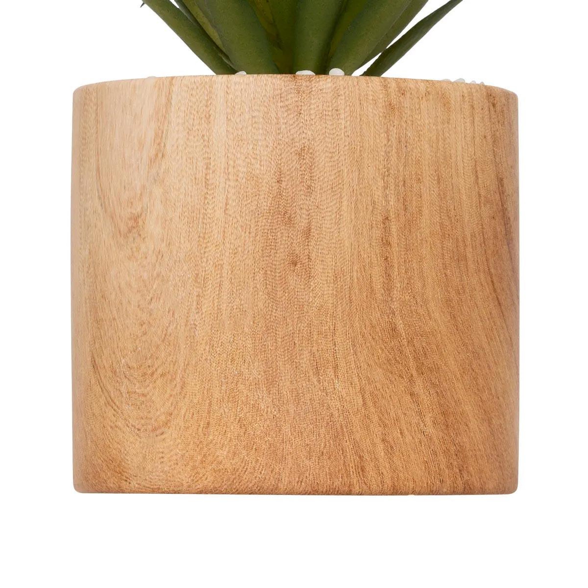 Voir la diapositive 3 : ATMOSPHERA Plante artificielle en pot  sao  17cm marron