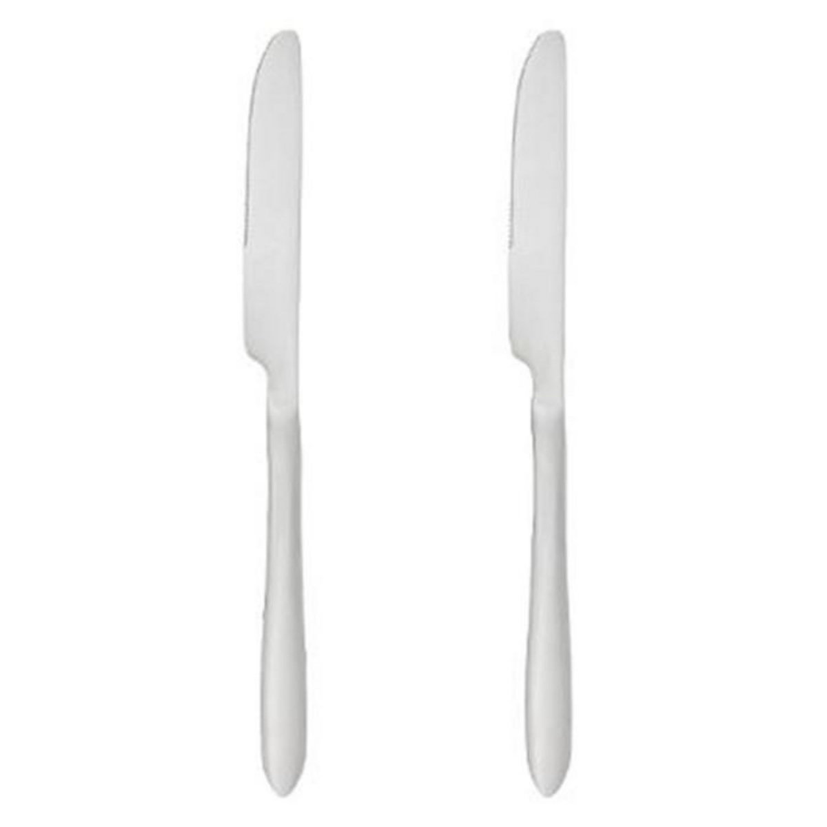 SECRET DE GOURMET Lot de 2 Couteaux Inox  Nevis  23cm Argent