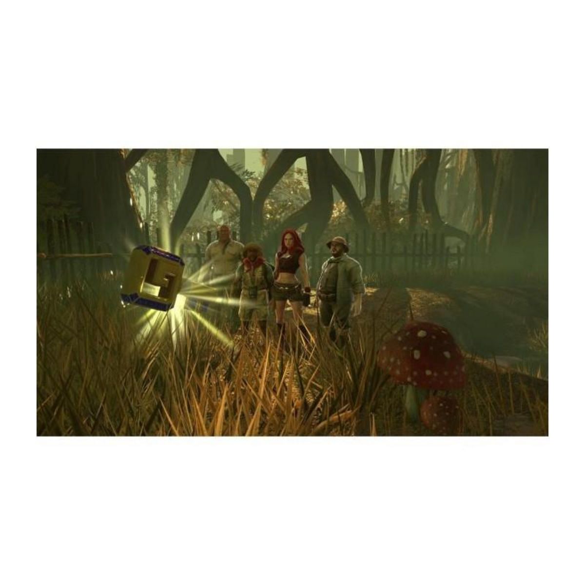 BANDAI NAMCO ENTERTAINMENT Jumanji - Aventures Sauvages - Jeu PS4