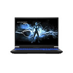 Medion Ordinateur Portable MEDION ERAZER MAJOR X10 - 16''QHD+ - Intel Core i7-12700H