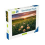 Voir la diapositive 2 : RAVENSBURGER Puzzle Ravensburger Coucher de Soleil