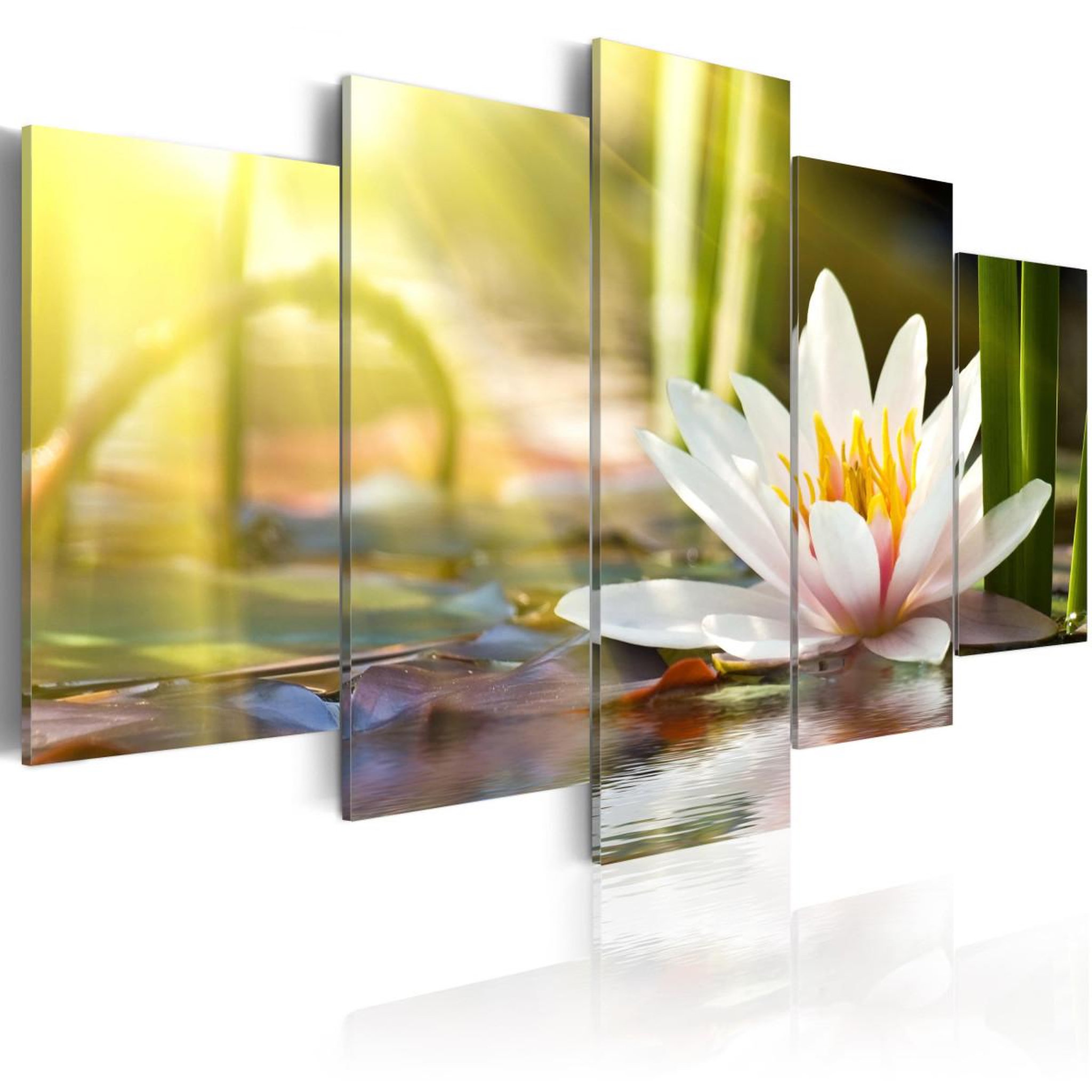 Paris Prix Tableau imprimé  sunny lotus. Coloris disponibles : Multicolore