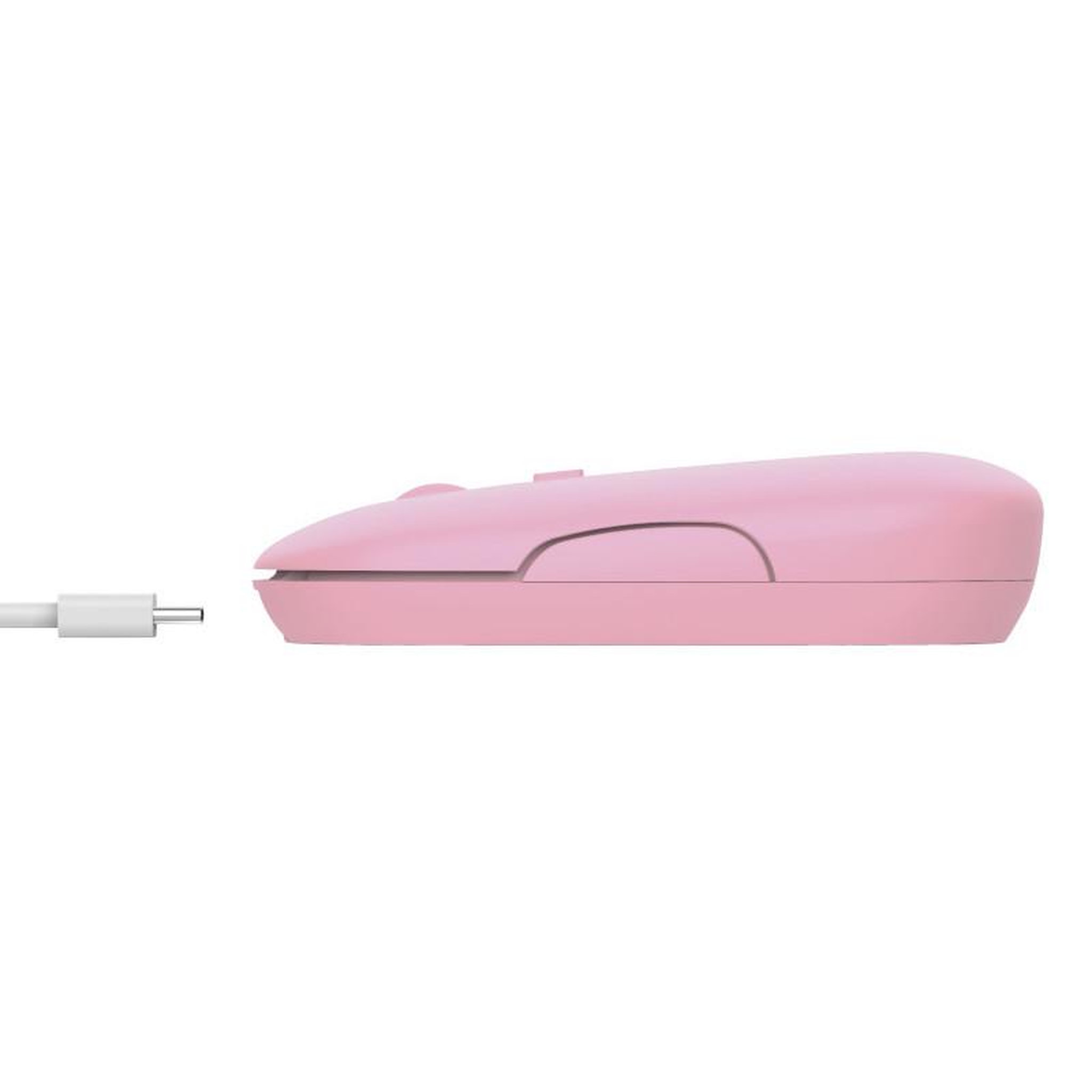 Voir la diapositive 5 : Trust Souris TRUST 24125