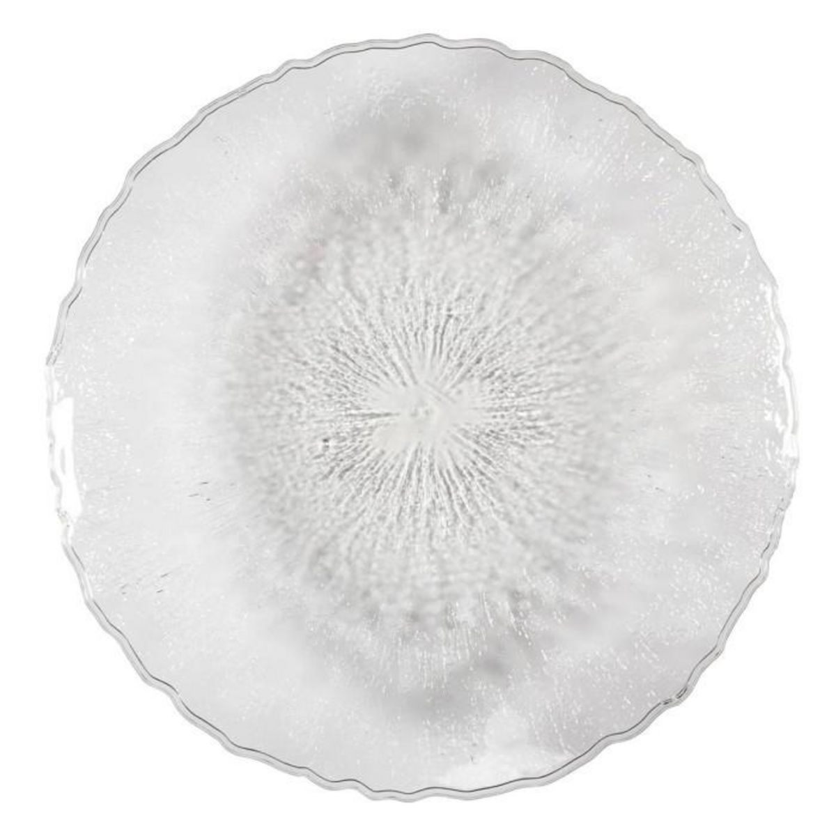 Paris Prix Plateau Design Martelé  Rogelio  42cm Transparent