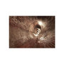 Voir la diapositive 2 : Paris Prix Papier Peint  Underground Corridor
