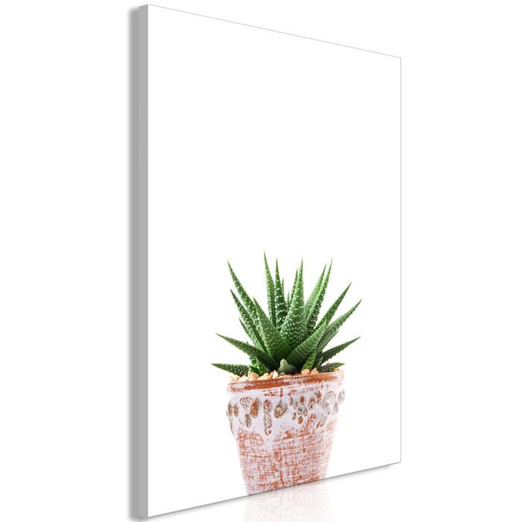 Paris Prix Tableau Imprimé  Succulents in Pot. Coloris disponibles : Multicolore