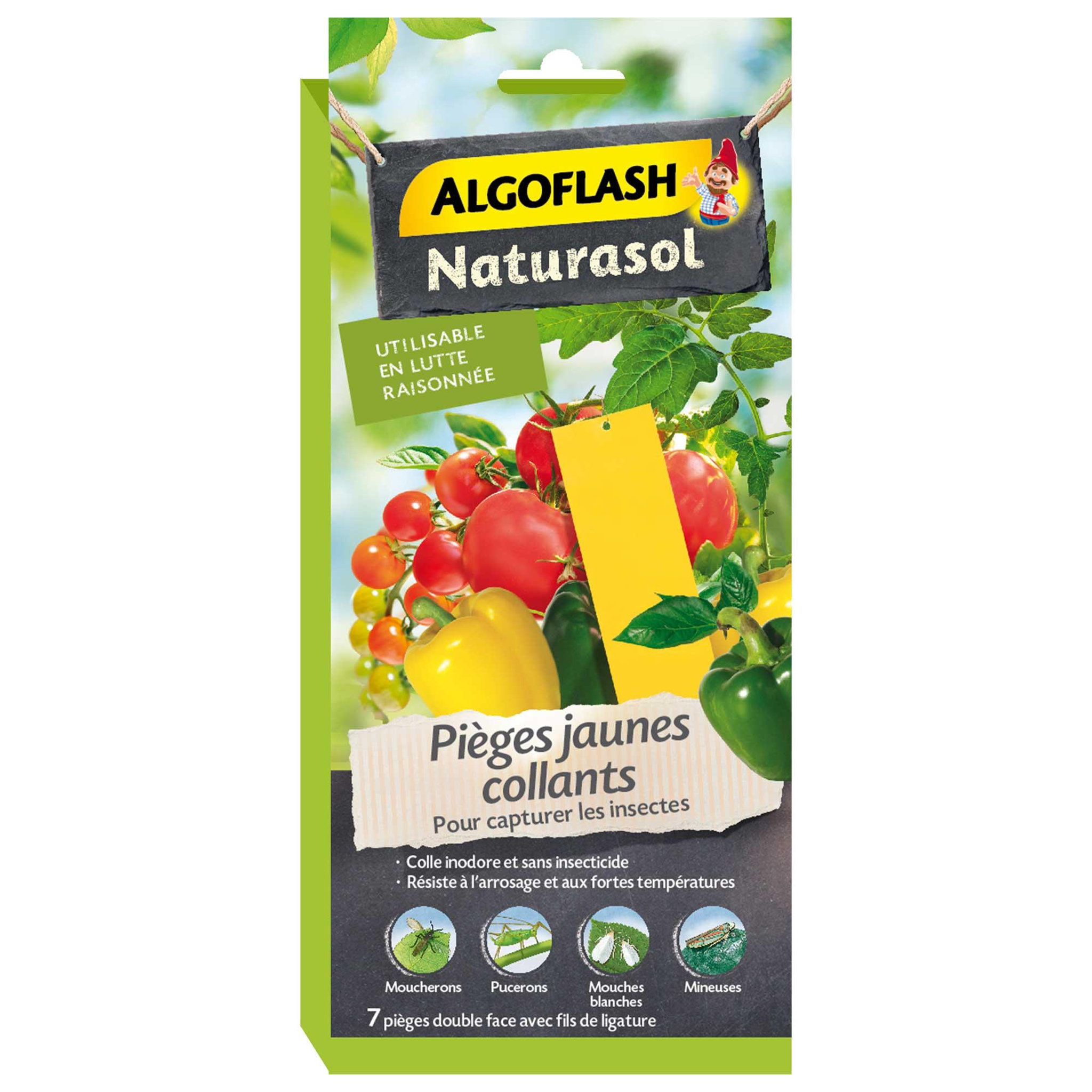 ALGOFLASH Pièges jaunes insectes collants 7 pièces algoflash