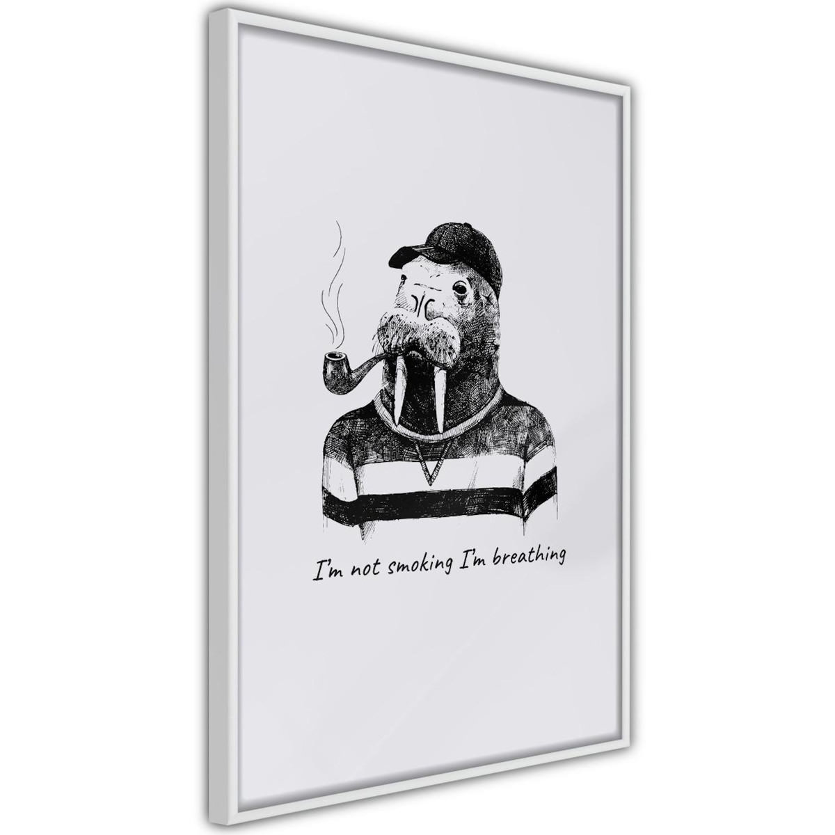Paris Prix Affiche Murale Encadrée  Captain Walrus