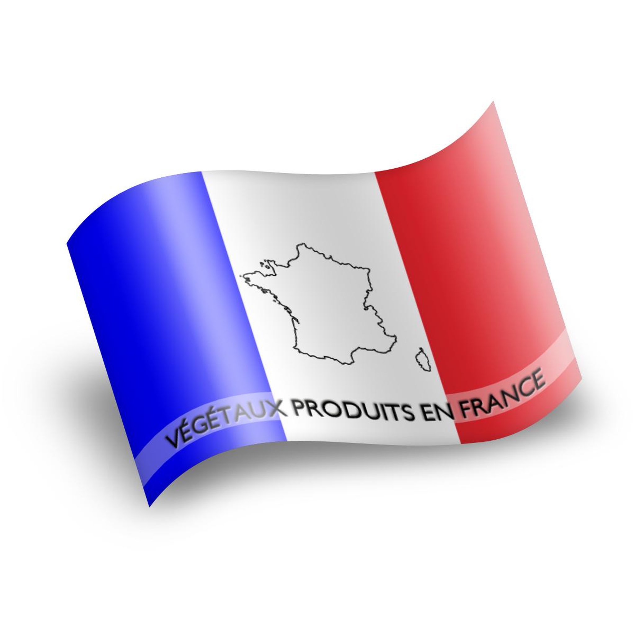 Voir la diapositive 3 : Aubépine à fleurs