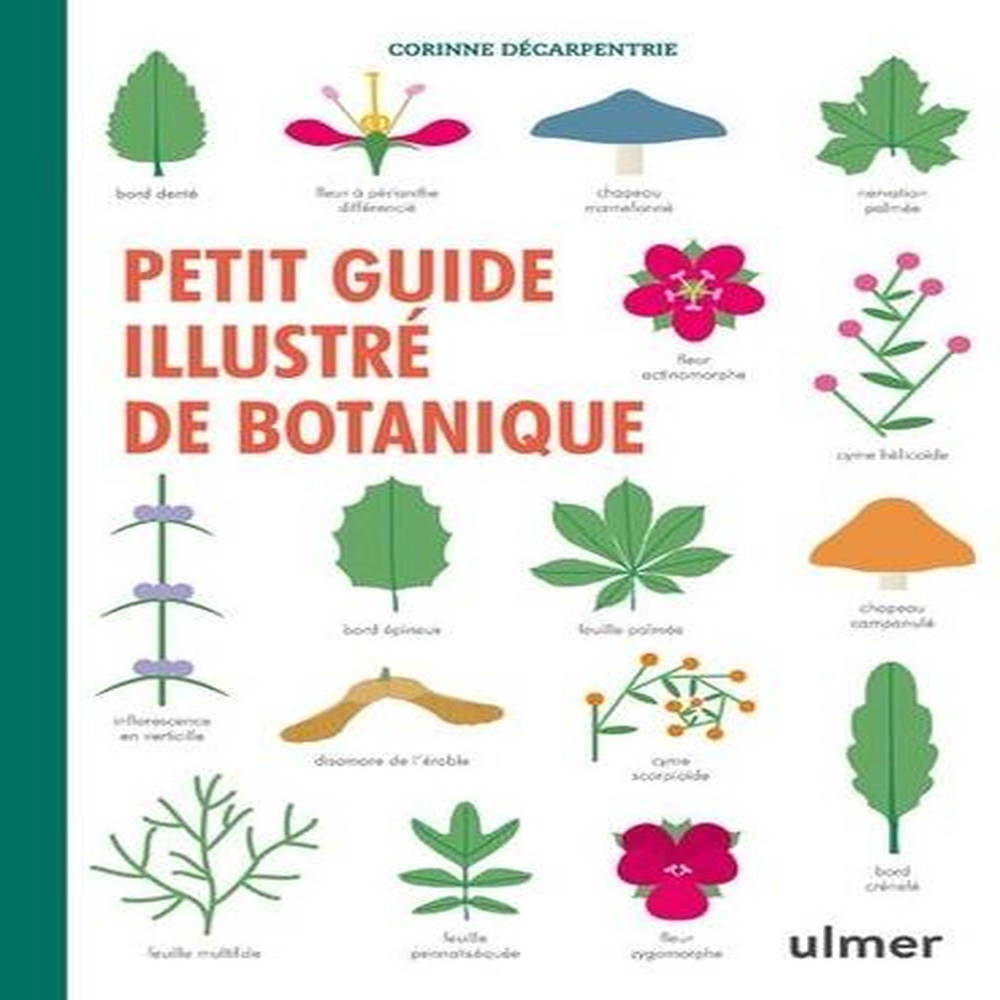 PETIT GUIDE ILLUSTRE DE BOTANIQUE, Décarpentrie Corinne