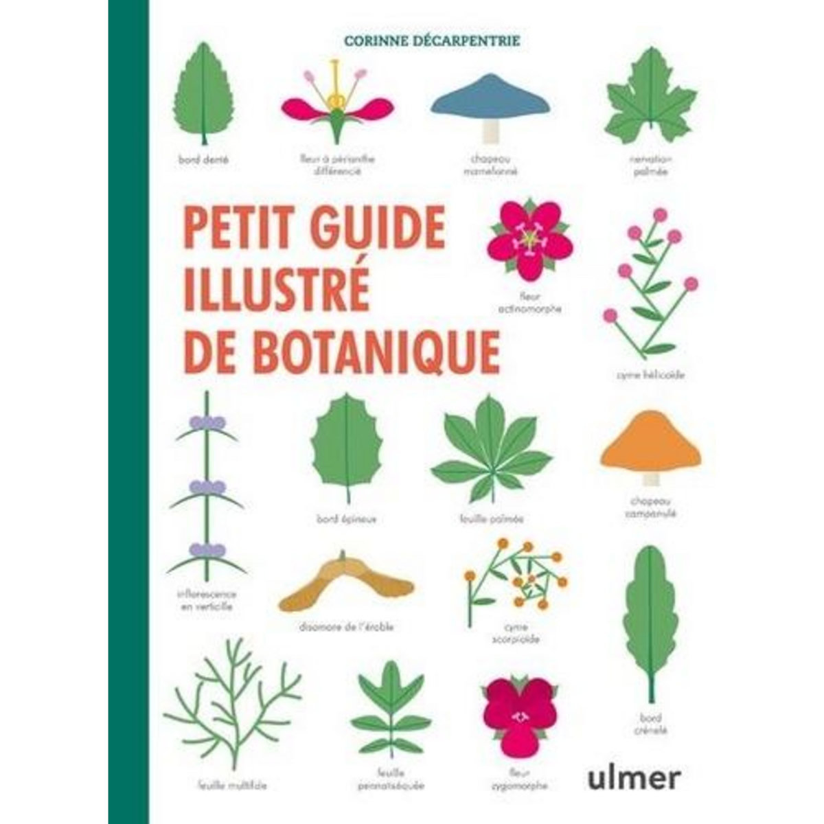 PETIT GUIDE ILLUSTRE DE BOTANIQUE, Décarpentrie Corinne