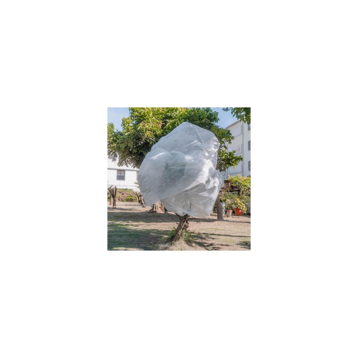 SUAN Voile d'hivernage - Blanc - Dimensions : 1 m x 10 m