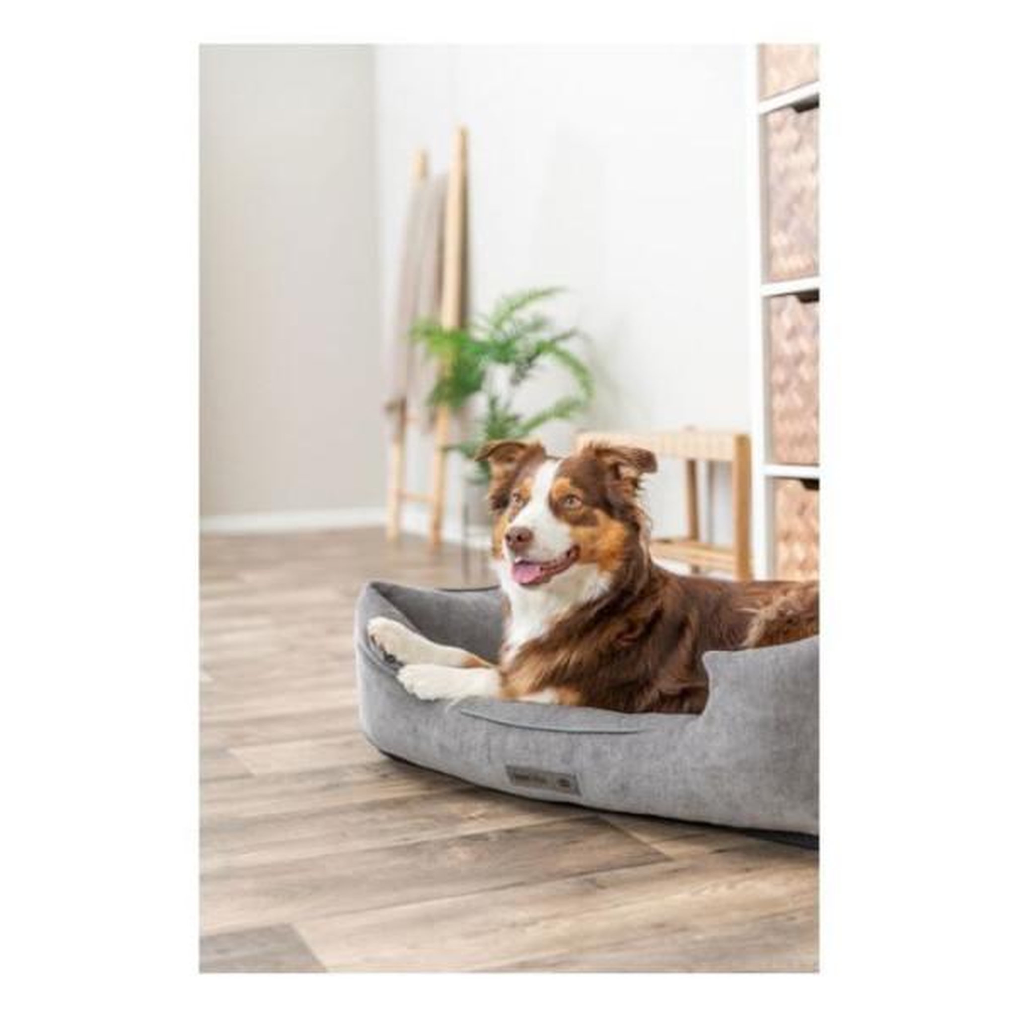 Voir la diapositive 3 : Trixie Panier pour chien - TRIXIE - VITAL LENNOX - Tissu chenille - 100 x 70 cm - Gris