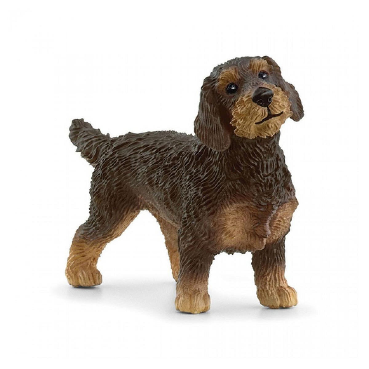 Schleich 13972 Figurine Chien Teckel a poil dur  Farm World 13972 figurine pour enfant