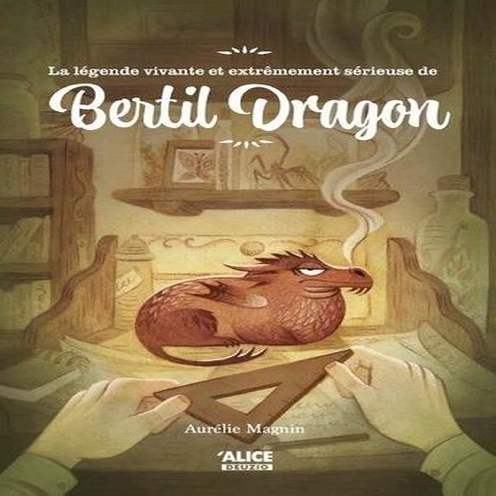 LE LEGENDE FABULEUSE ET EXTREMEMENT SERIEUSE DE BERTIL DRAGON, Magnin Aurélie