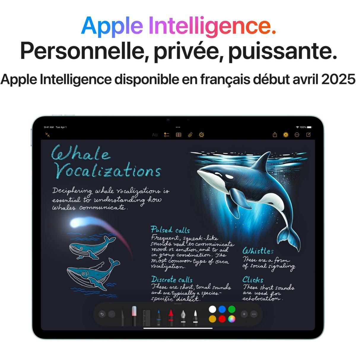 APPLE Tablette Apple Air 11 M3 1To Gris Sidéral Cellular 2025