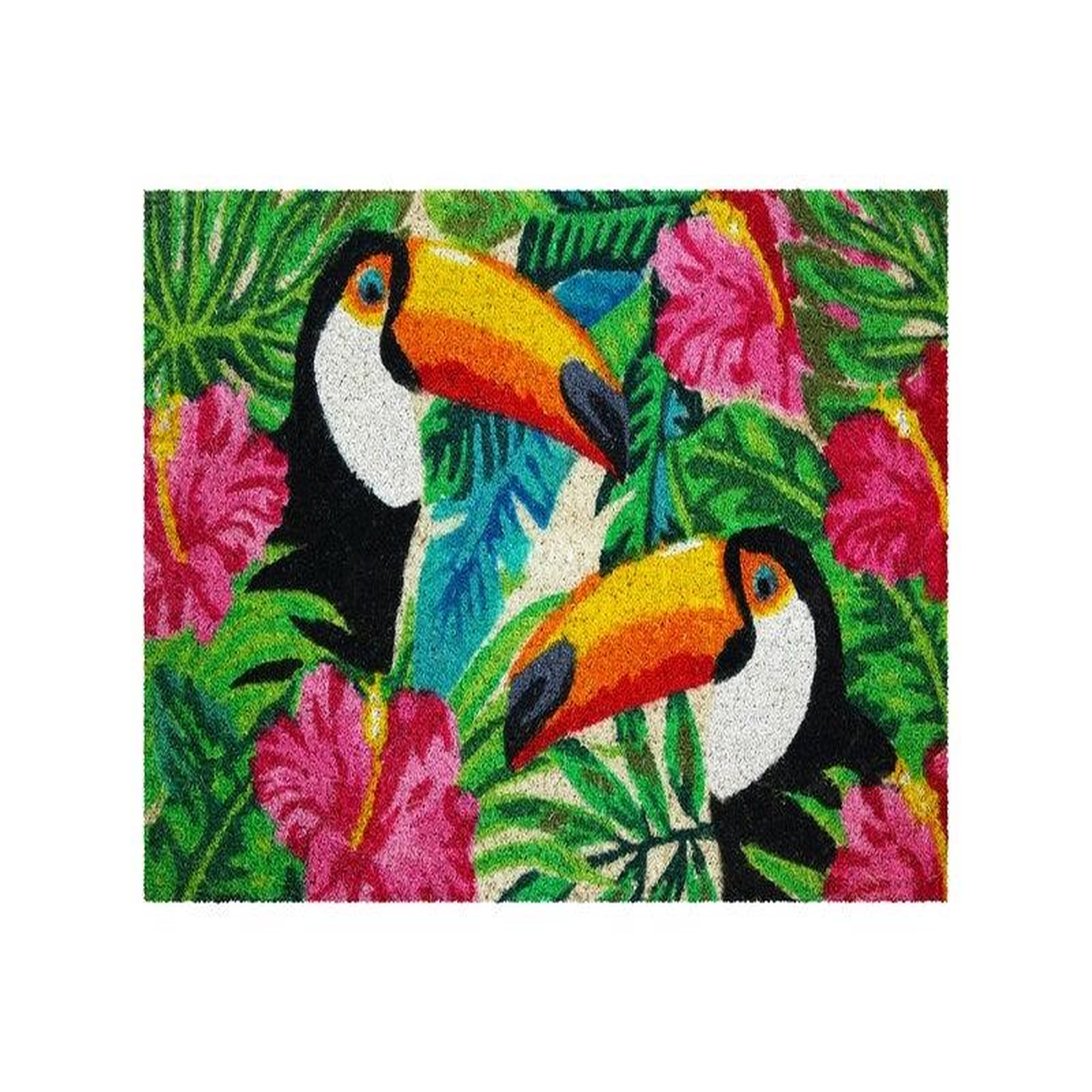 CENTRALE BRICO Tapis coloris assortis rectangulaire, l.40 x L.60 cm Toucans