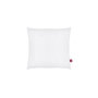 Voir la diapositive 3 : ABEIL ABEIL Lot de 2 Oreillers Douceur - 60 x 60 cm - Blanc